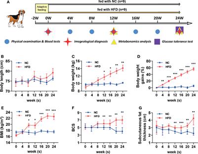 Profound Perturbation in the Metabolome of a Canine Obesity and Metabolic Disorder Model